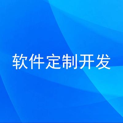 软件定制开发 在标准化洪流中为企业锻造独特竞争力